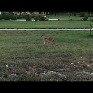 Meet your Posher, Annemarie